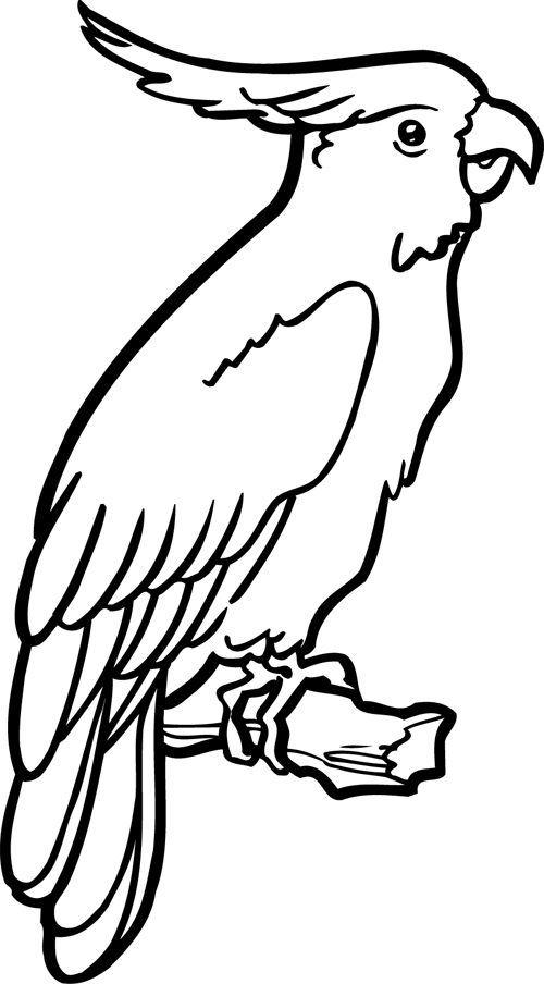 Loro #5101