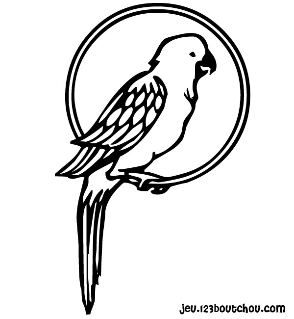 Loro #5102