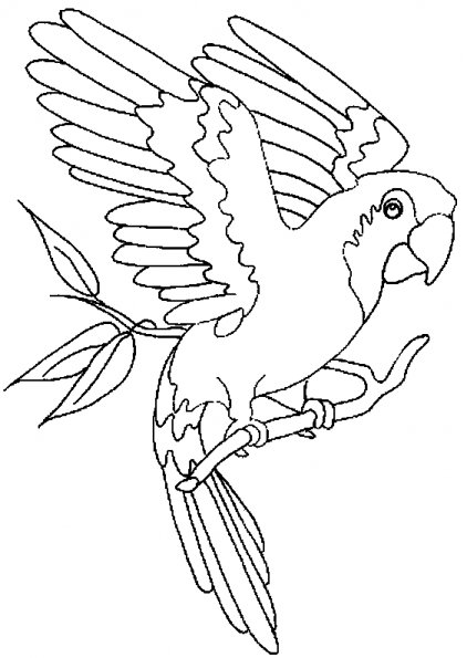 Loro #5103