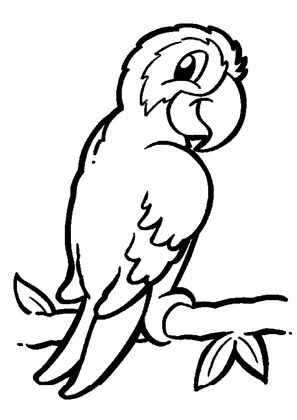 Loro #5104