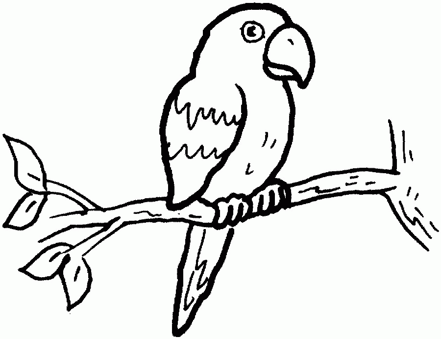 Loro #5107