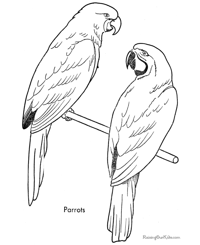 Loro #5112