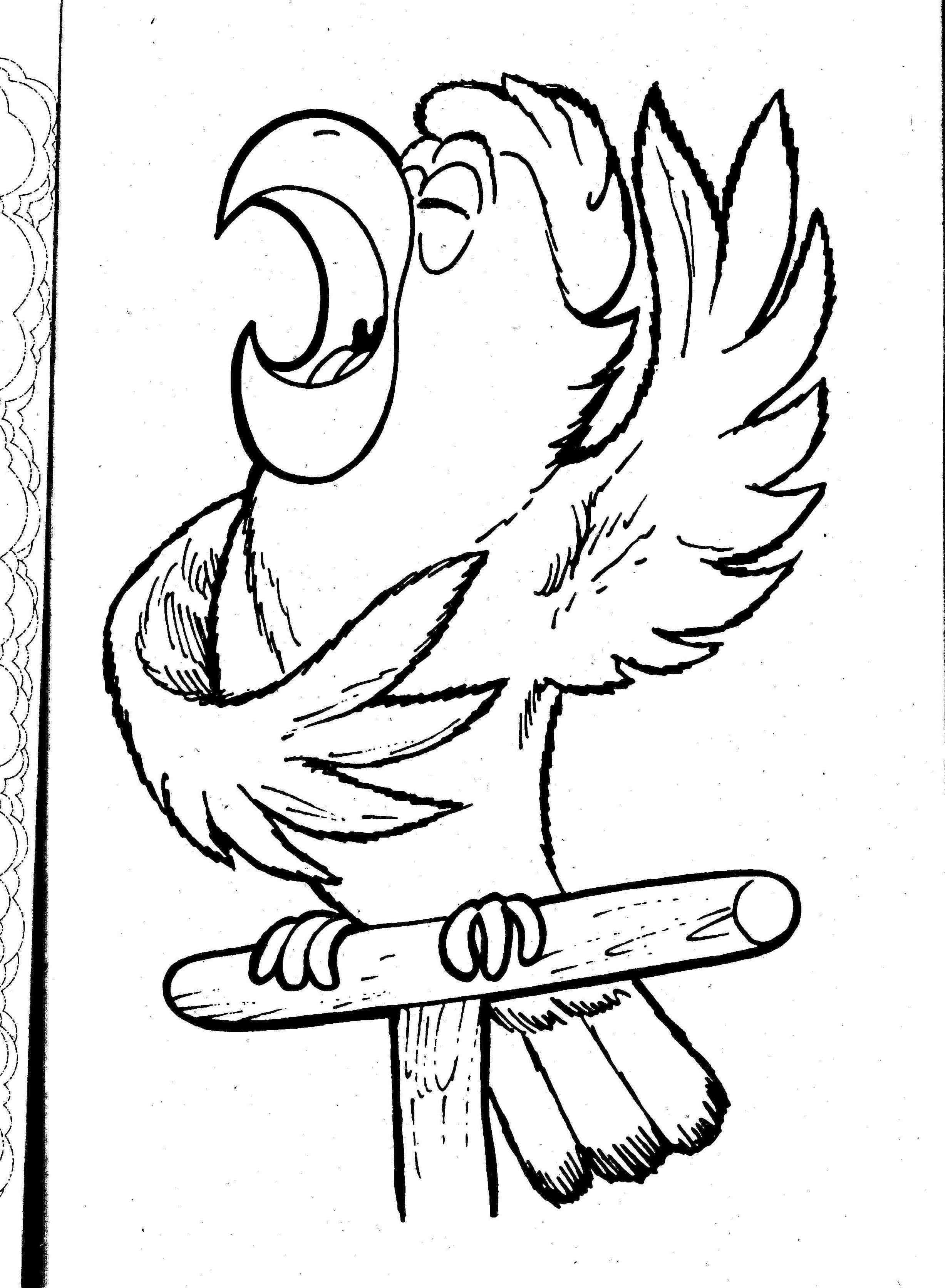 Loro #5113