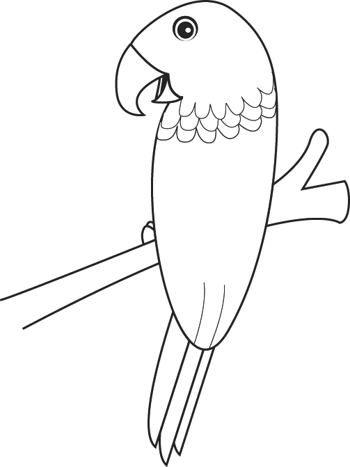 Loro #5117