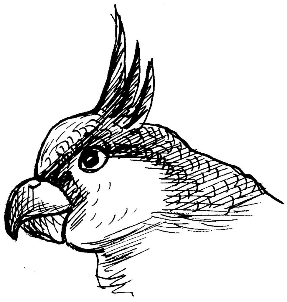 Loro #5119