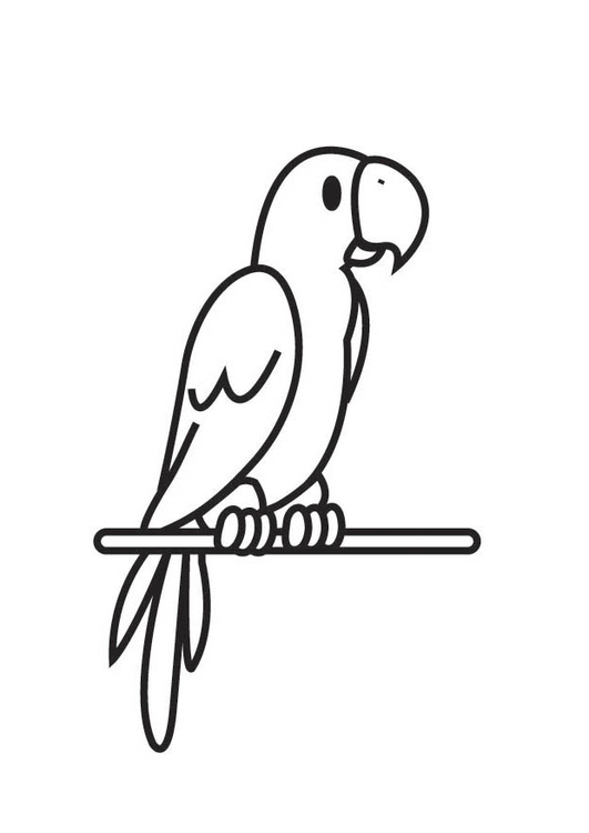Loro #5121