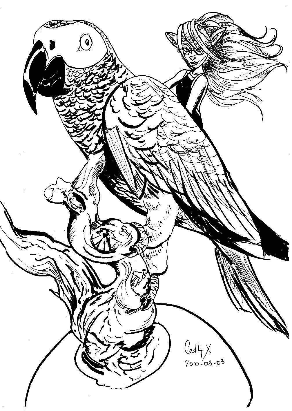 Loro #5124