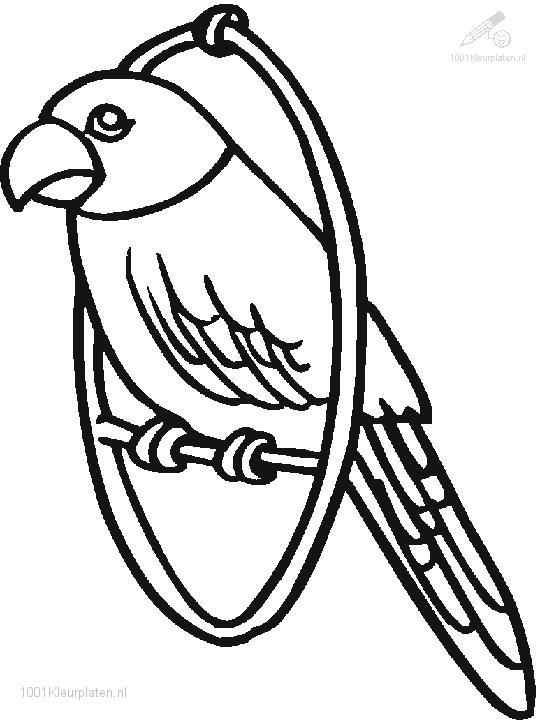 Loro #5131