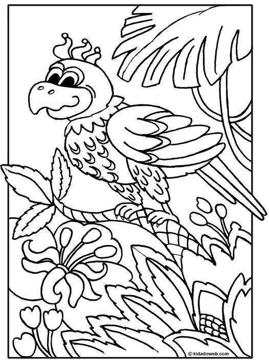 Loro #5132