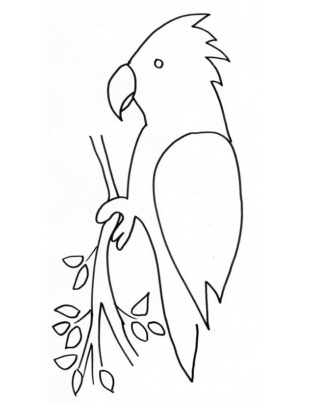 Loro #5133