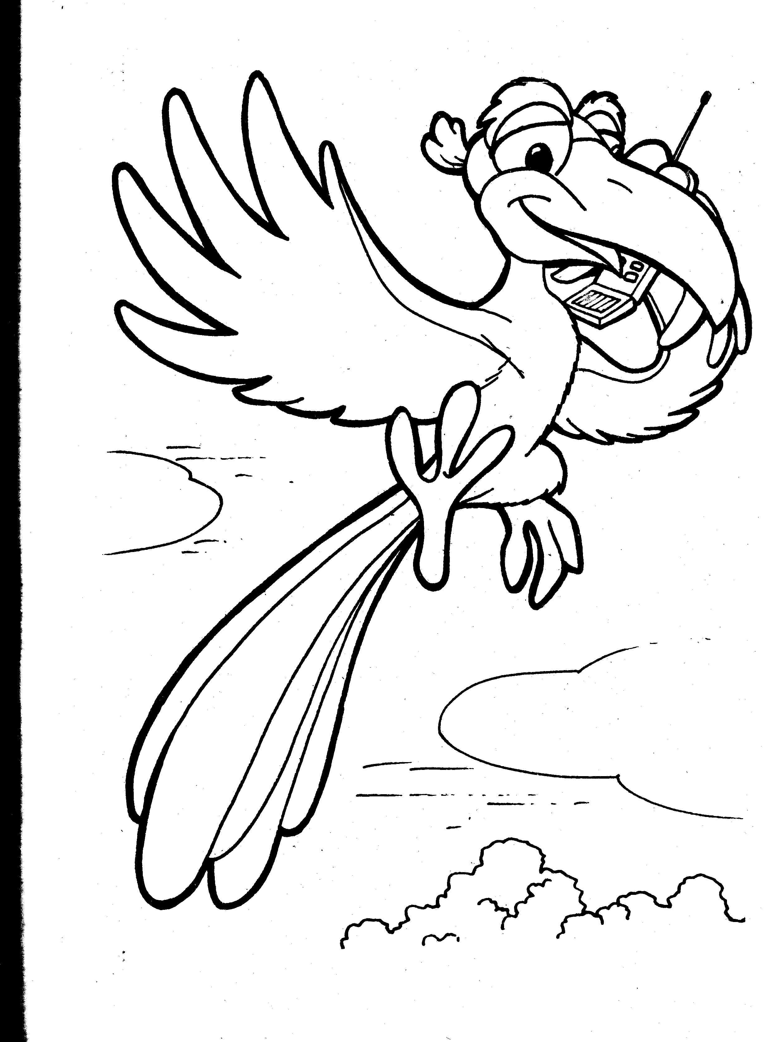 Loro #5135