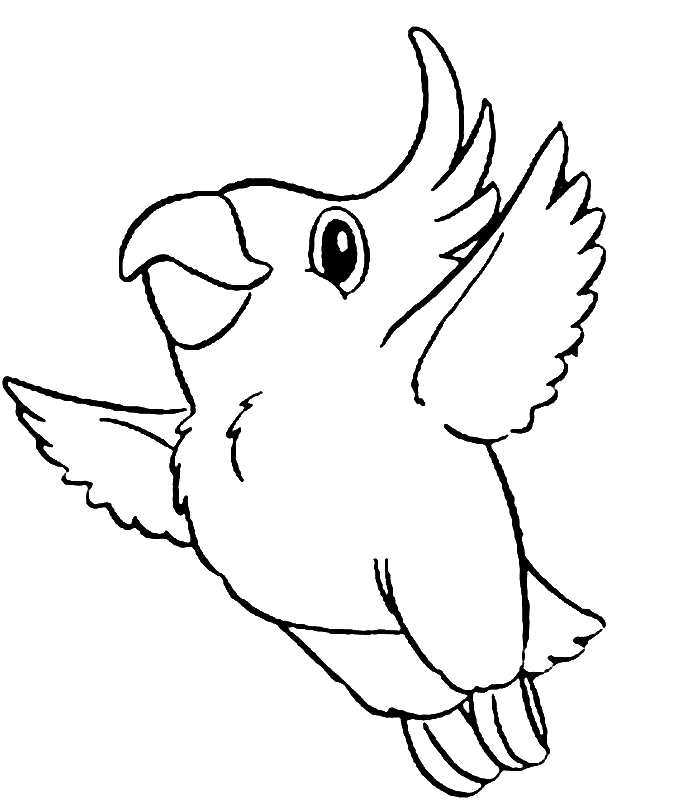 Loro #5140