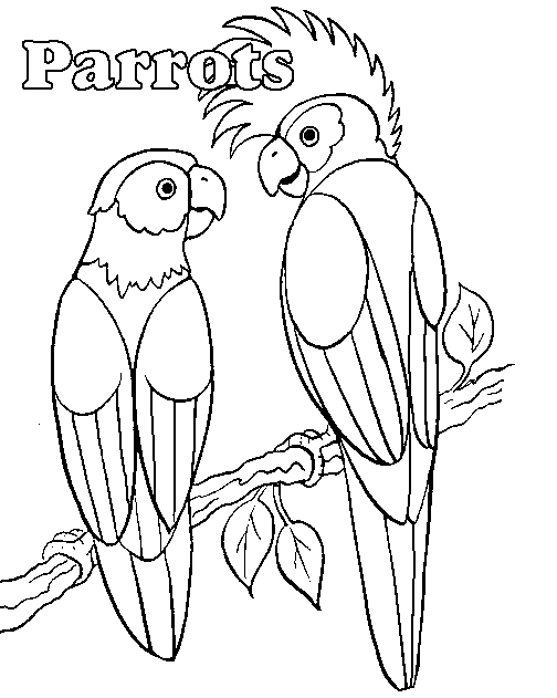Loro #5143
