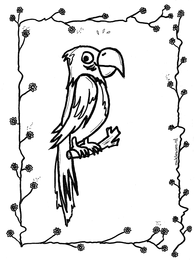 Loro #5148