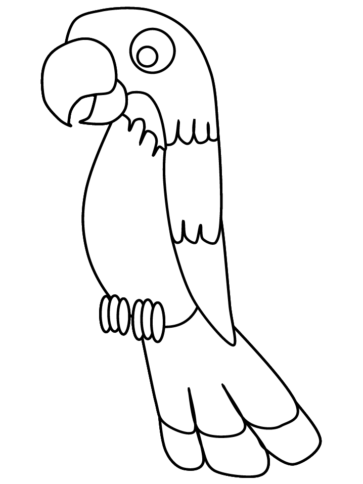 Loro #5153
