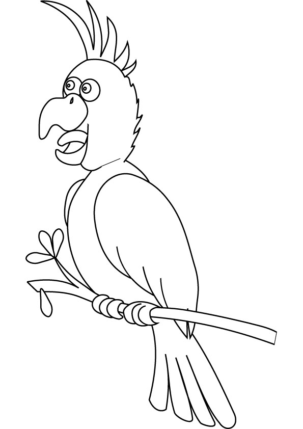 Loro #5155
