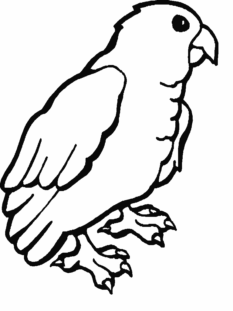 Loro #5156