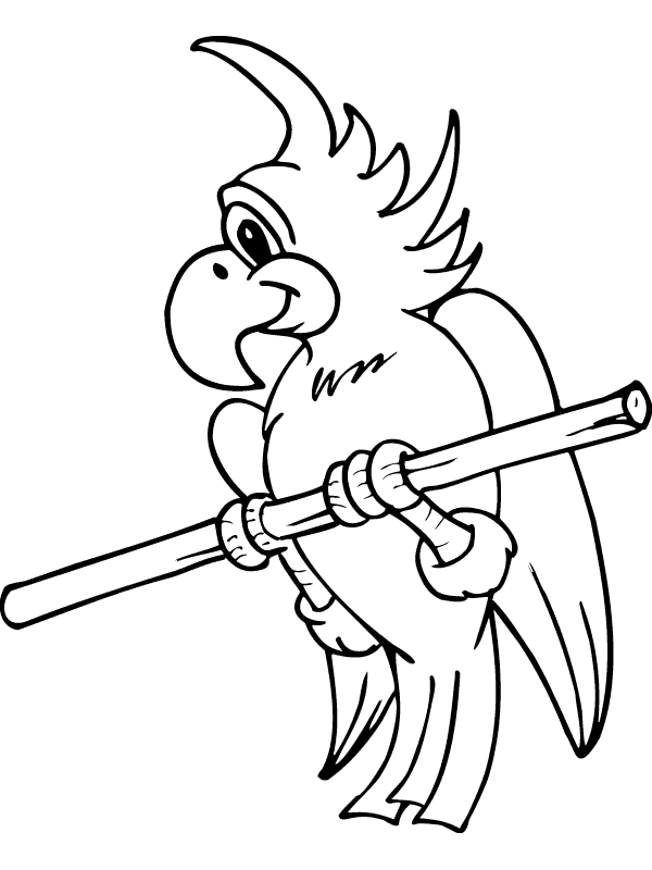 Loro #5162