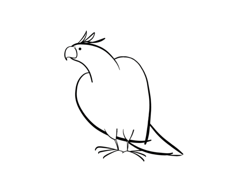 Loro #5171