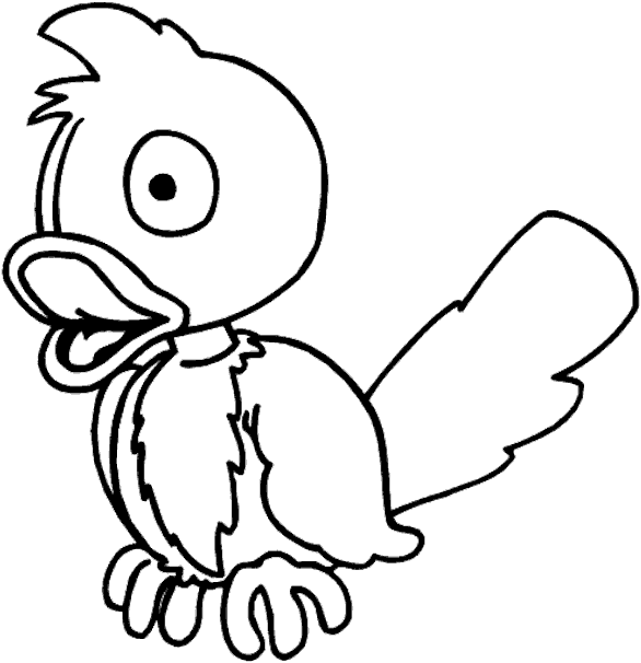 Loro #5173