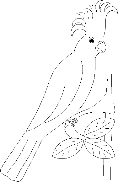 Loro #5176