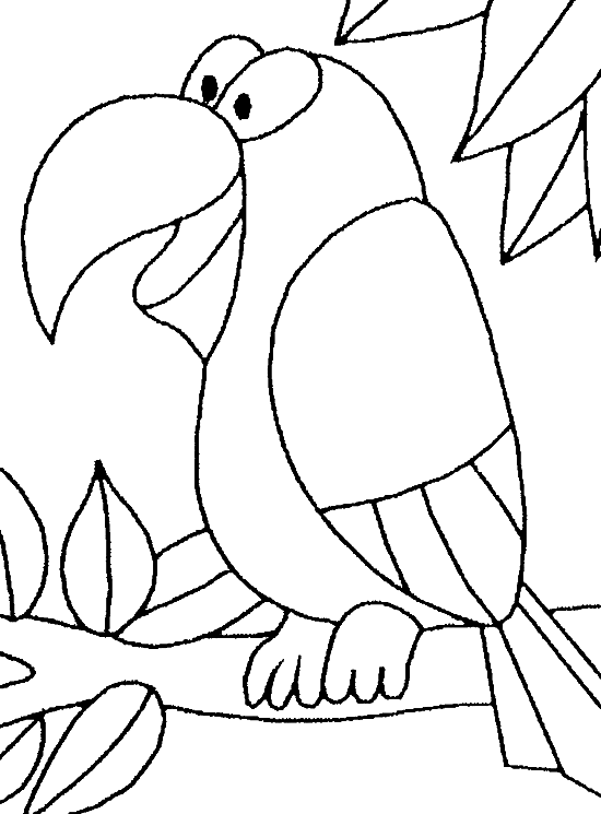 Loro #5177