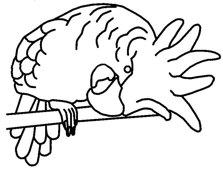 Loro #5179
