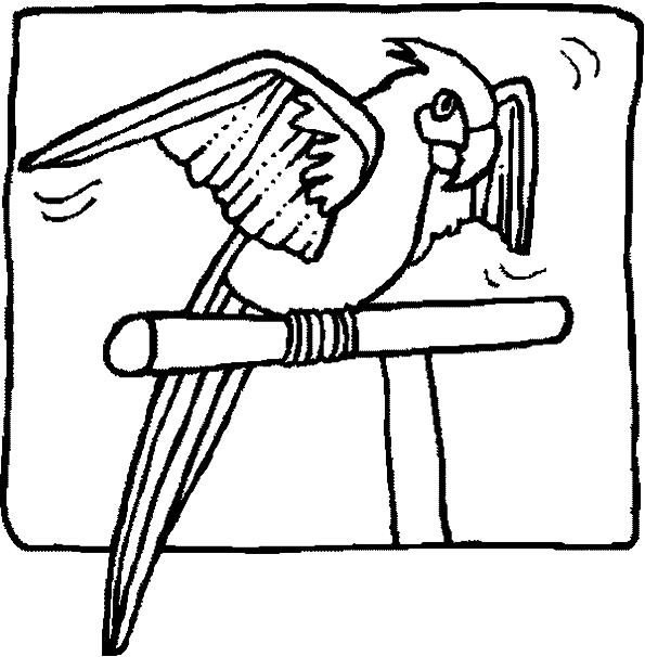 Loro #5182