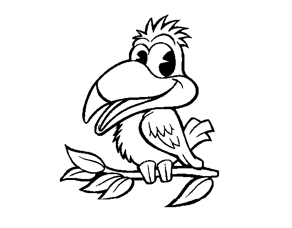 Loro #5183