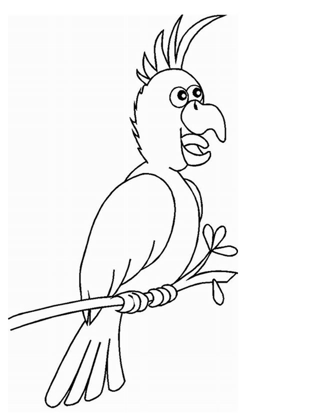Loro #5186