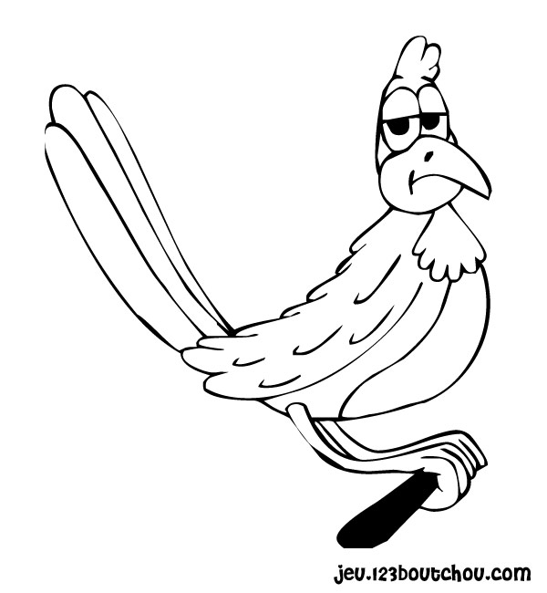 Loro #5188