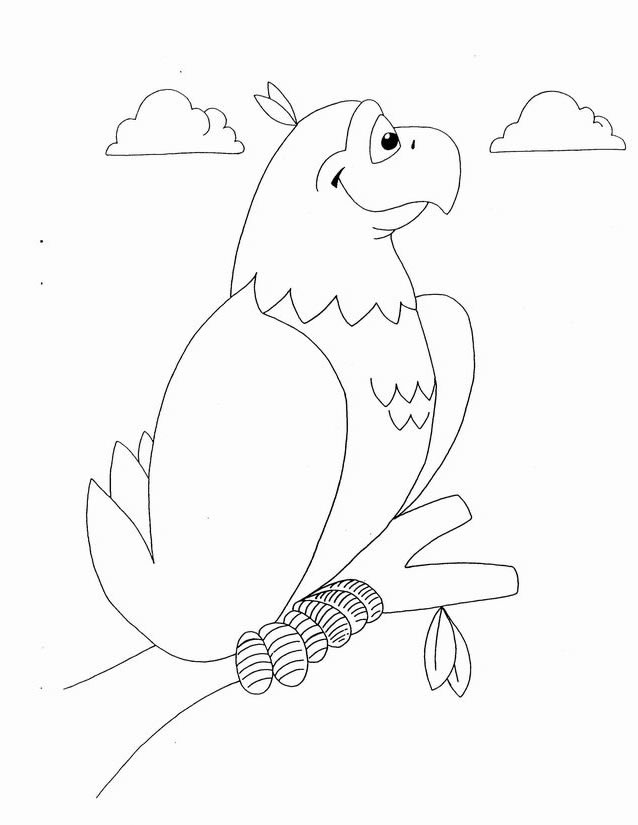 Loro #5191