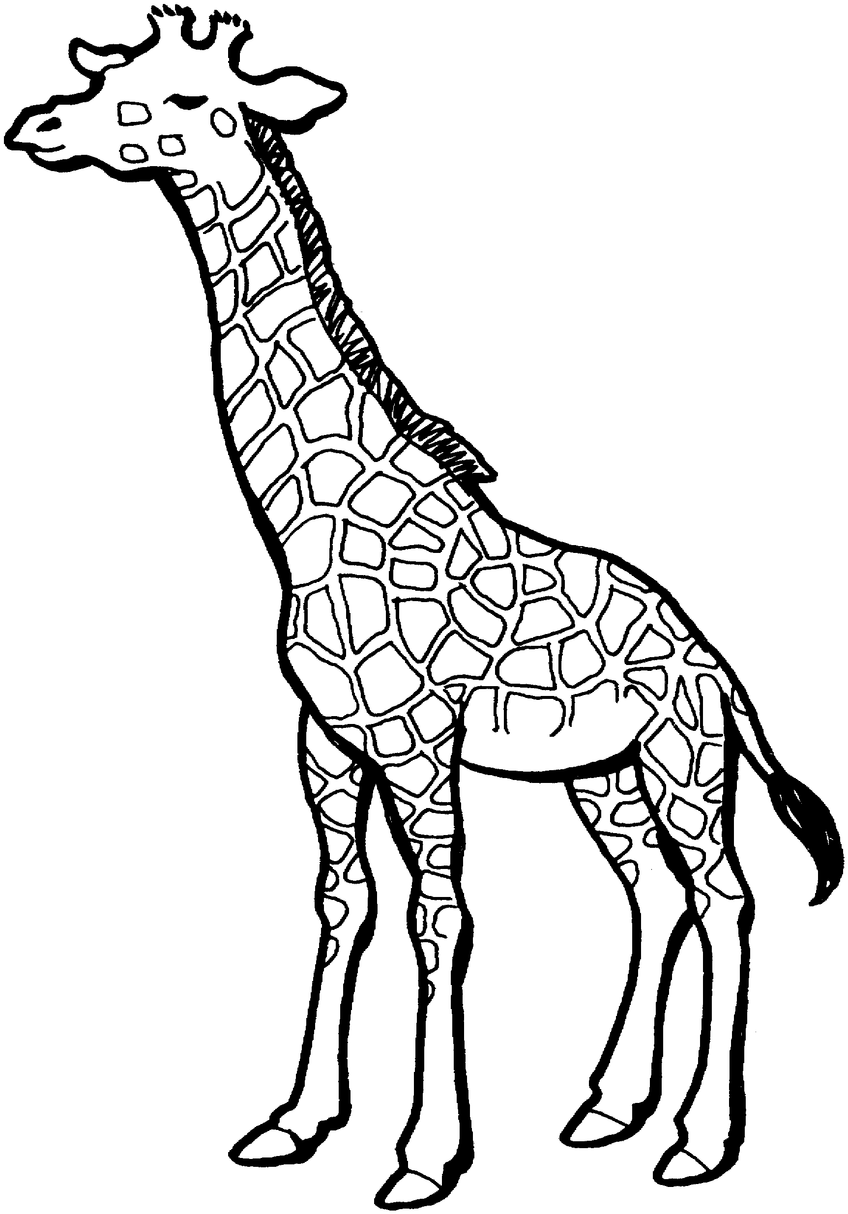 Jirafa #5218