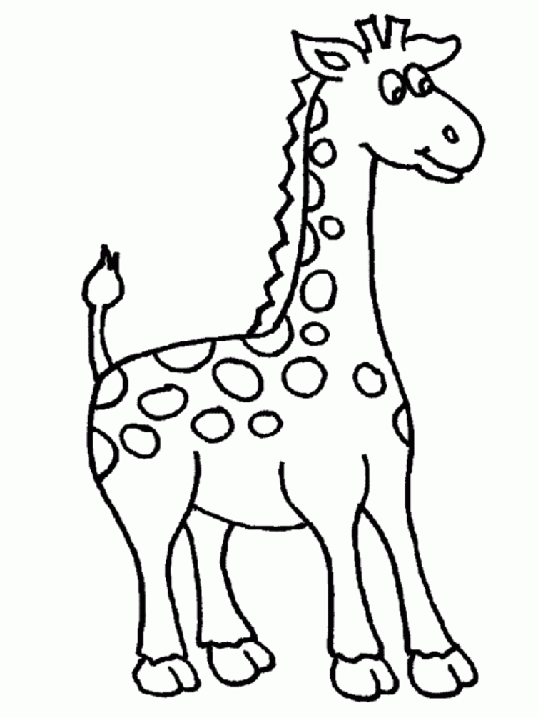Jirafa #5219