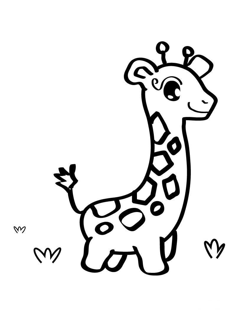 Jirafa #5220