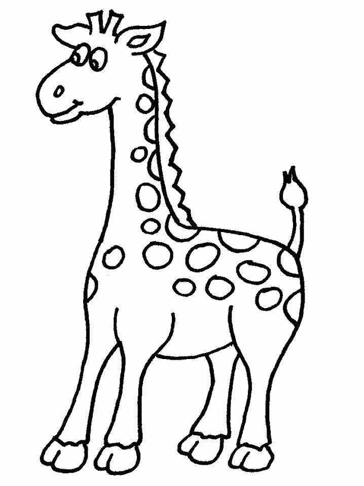 Jirafa #5223