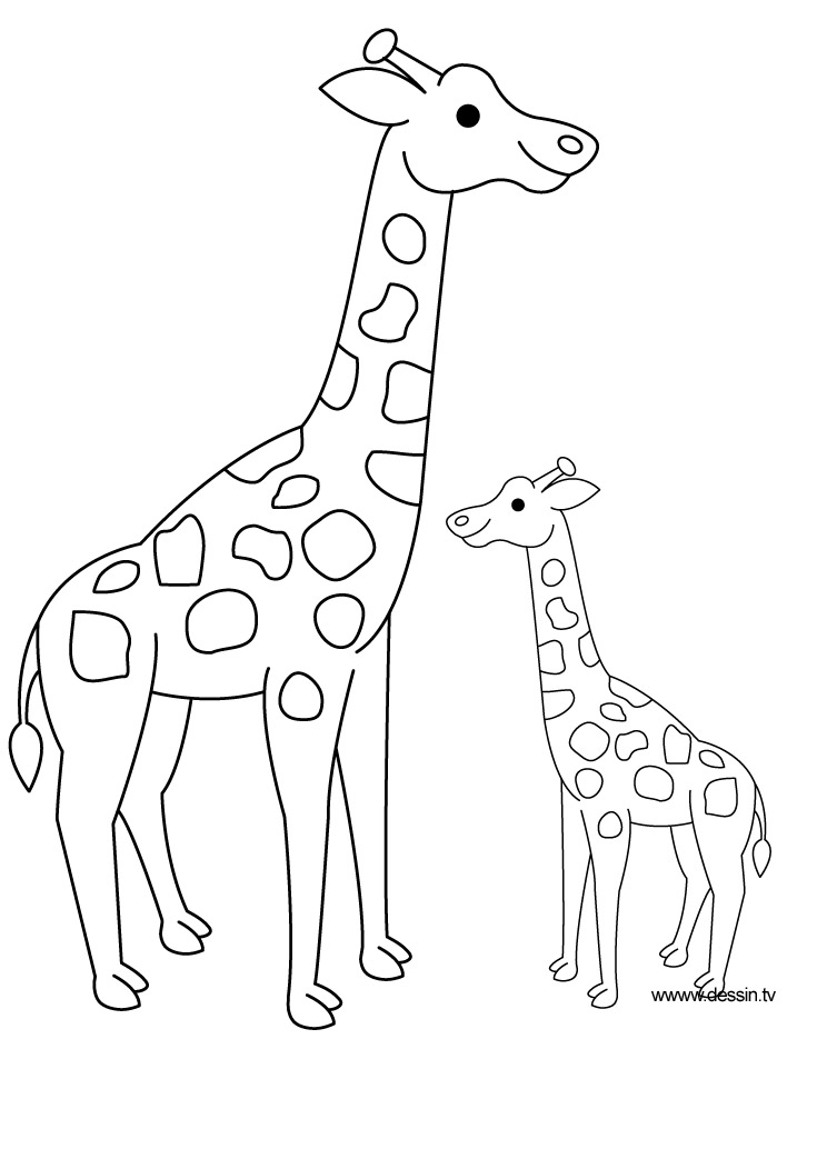 Jirafa #5231