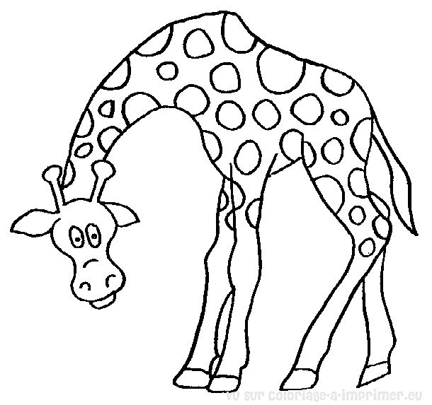 Jirafa #5234