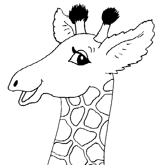 Jirafa #5242