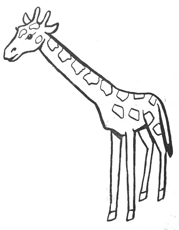 Jirafa #5244