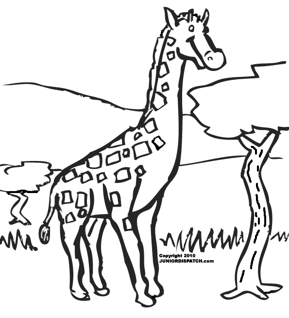 Jirafa #5252