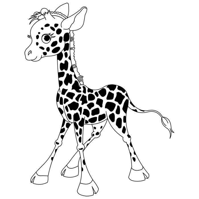 Jirafa #5267
