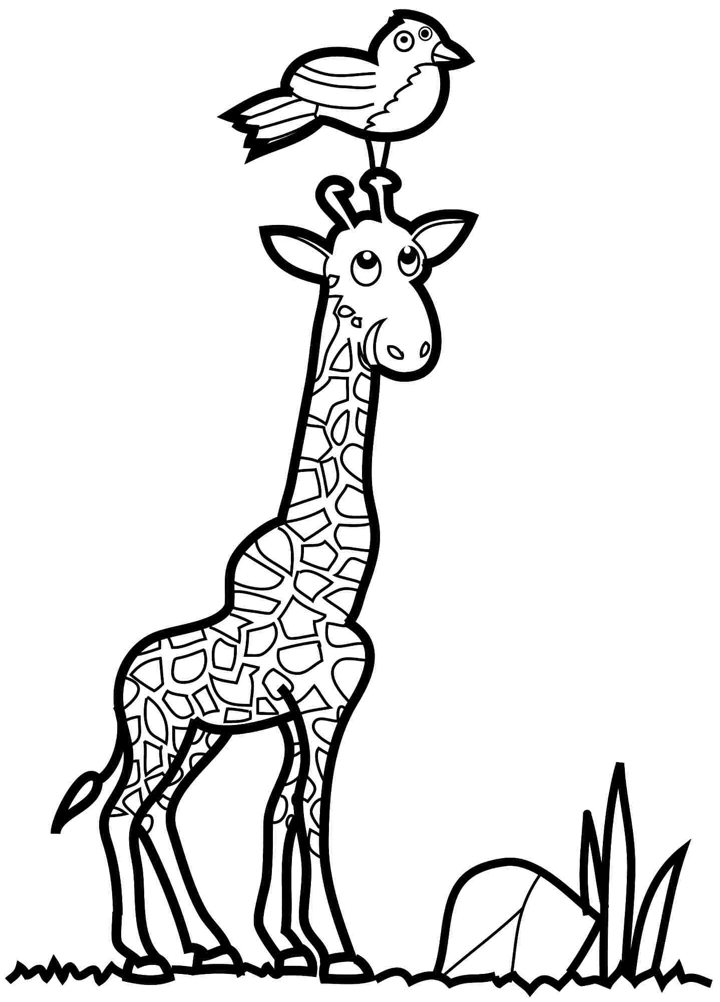 Jirafa #5276