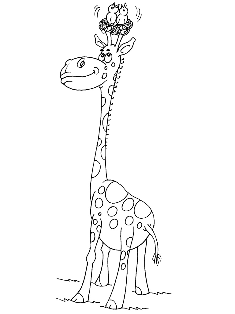 Jirafa #5281