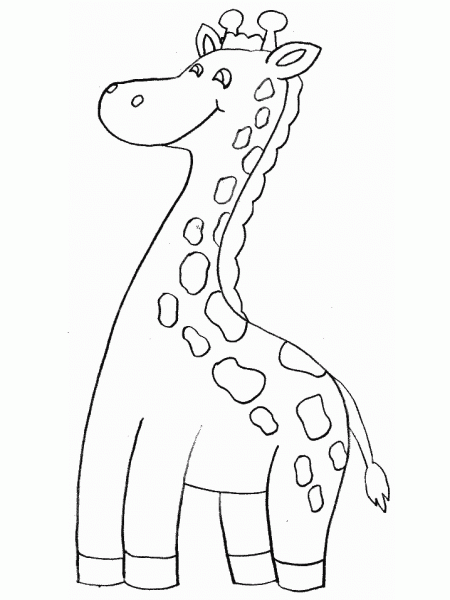 Jirafa #5282