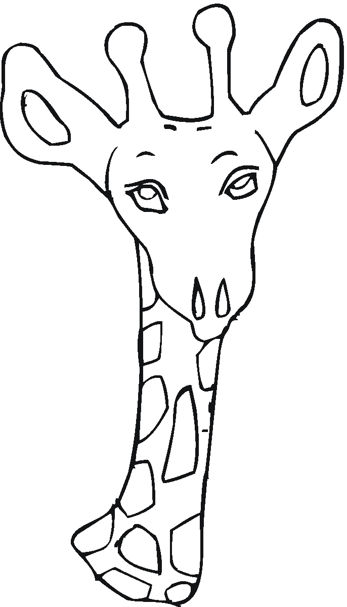 Jirafa #5286