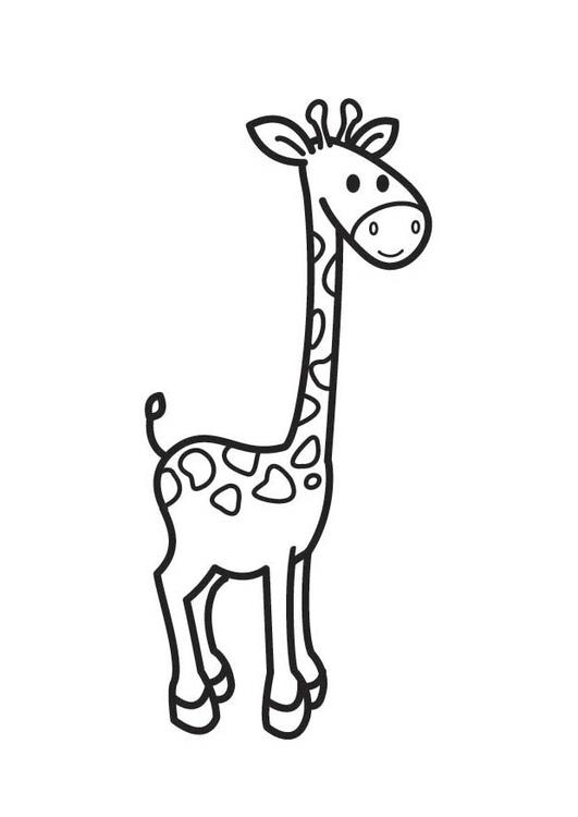 Jirafa #5290
