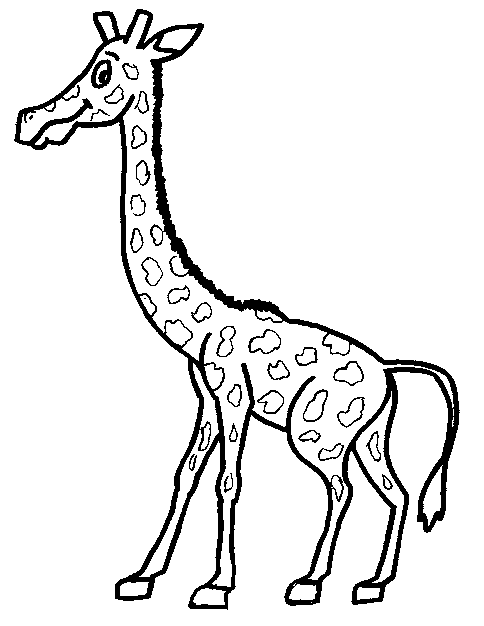 Jirafa #5293