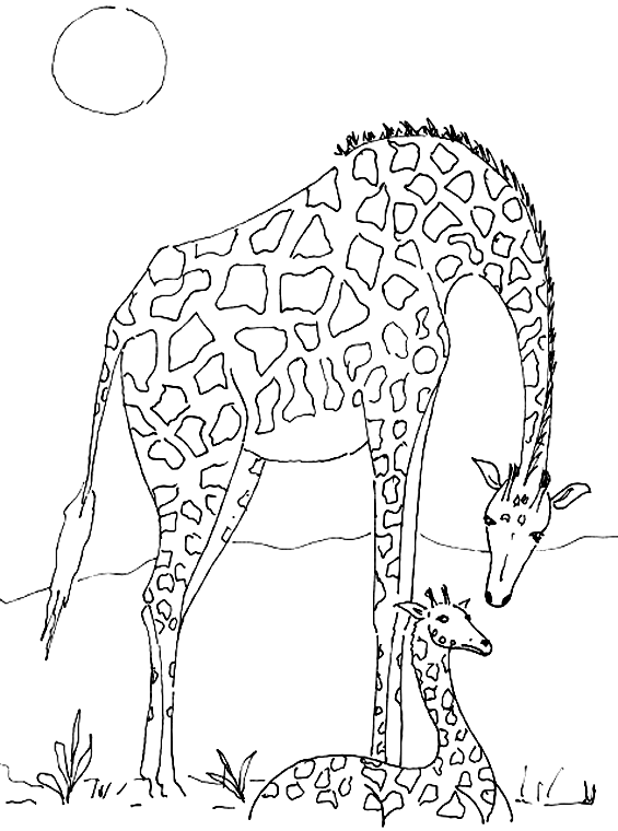Jirafa #5295
