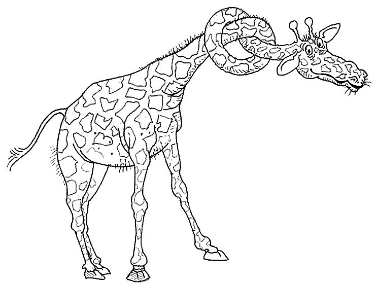 Jirafa #5298